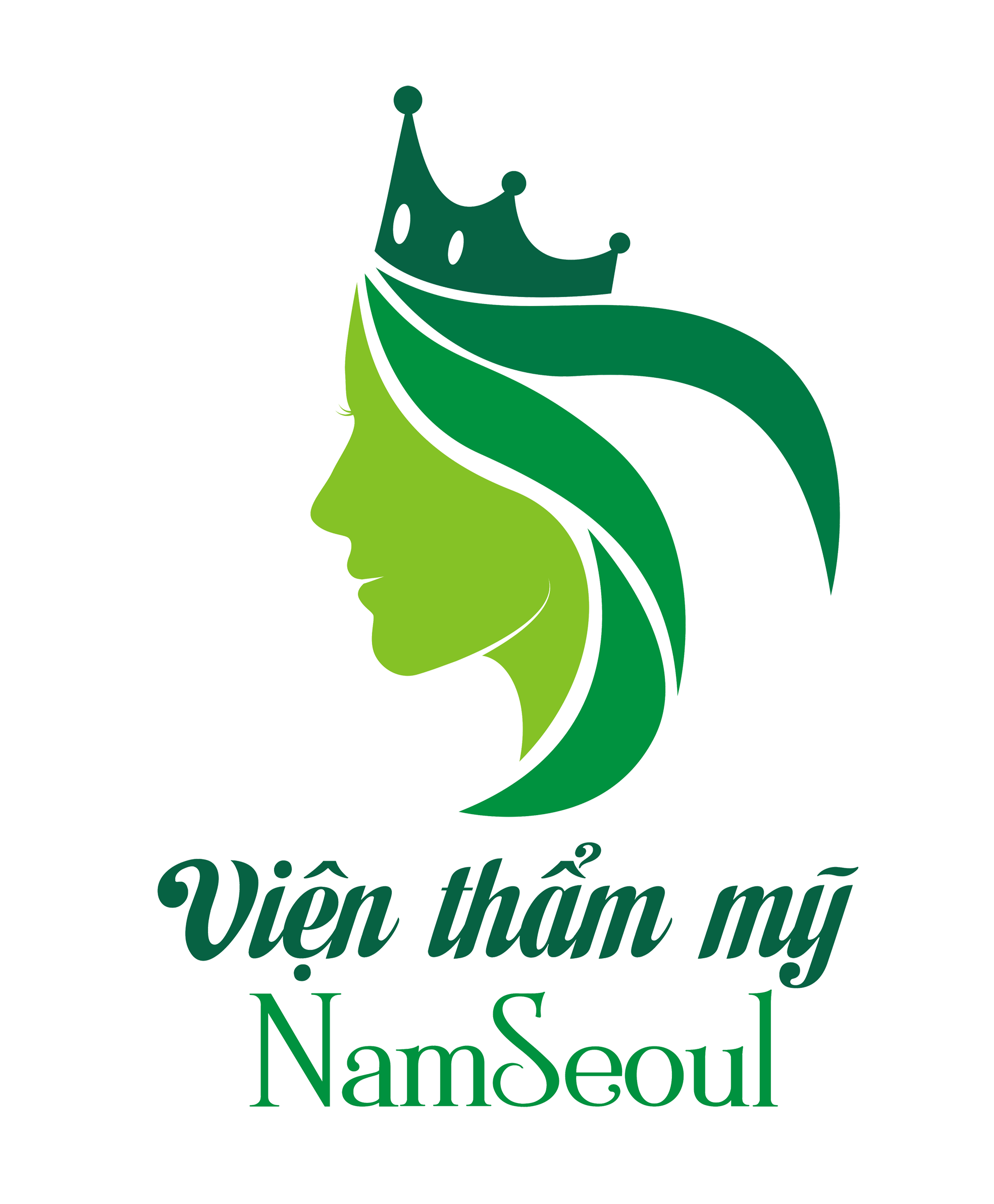 Viện Thẩm Mỹ Namseoul